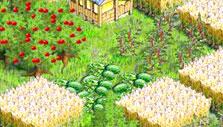 Free Farm Game: Wheat and melons