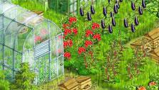 Free Farm Game: Greenhouse