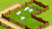 Sheep in My Free Zoo