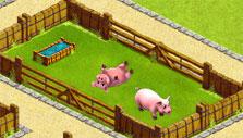 My Free Zoo: Pigs