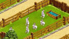 Rabbits in My Free Zoo