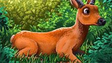 My Free Zoo: Marsh Deer