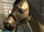 Riding Club Championships Riding Club Championships