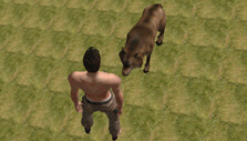 Hunting wolf in Thrive Island Hunting wolf in Thrive Island