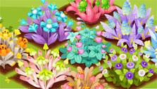 Flower Shop: Unique flowers Unique flowers in Flower Shop