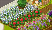 Flower Shop: harvest