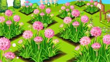 Flower Shop: field of flowers