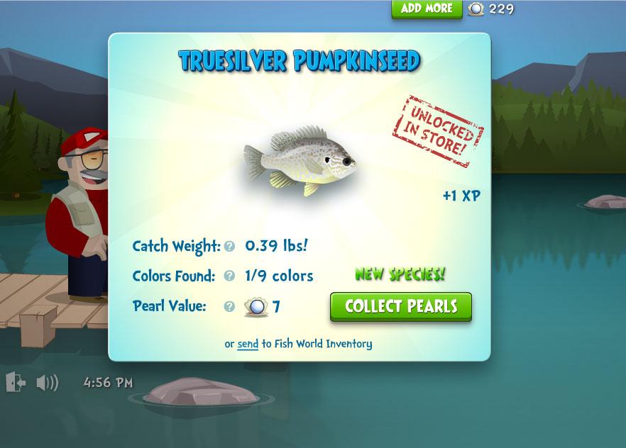 fish of the world pop mart