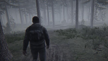 Walking through a dense forest
