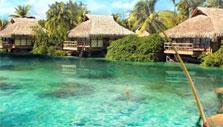 Tropical resort in Go Fishing