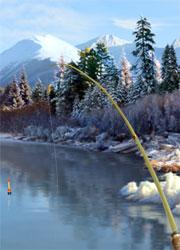 Go Fishing Go Fishing