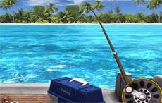 Fishing Paradise 3D Fishing Paradise 3D