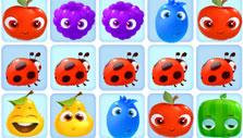 Ladybug barrier in Fruity Jam Adventures