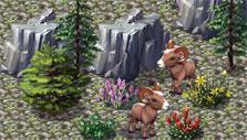 Zoo World 2: Mountain rams