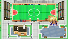 Beautifully detailed map in Soccer Story Beautifully detailed map in Soccer Story