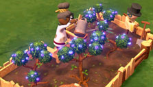 Farms in Zombie Cure Lab