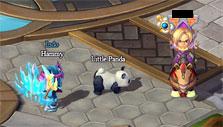 Little panda pet