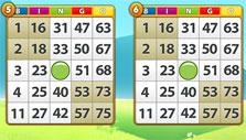 Playing multiple bingo cards in Gamepoint Bingo