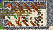 Wedding in Tibia