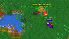 Combat in Tibia