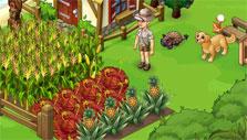 more crops in Oasis more crops in Oasis