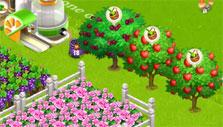 flowers and fruit trees in Family Barn