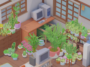 Urban Jungle: Filling up corners with plants