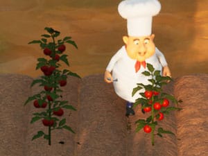 Wild Roots: Harvesting crops