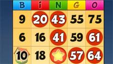 Bingo Drive: Gameplay Bingo Drive: Gameplay