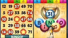 Bingo Drive: Bingo! Bingo Drive: Bingo!