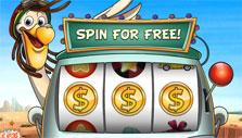 Bingo Drive: Free reel spin
