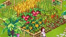 Taonga: Beautiful farm Taonga: Beautiful farm