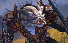 Best-Looking Race in Guild Wars 2 - Survey Option 2 Best-Looking Race in Guild Wars 2 - Survey Option 2